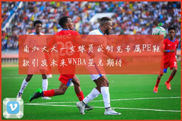 南加大大一女球员获耐克专属PE鞋款引发未来WNBA星光期待