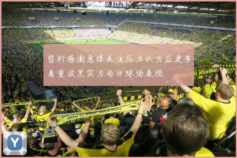 哲科感谢意媒关注压力认为应更多看重波黑实力而非球场表现