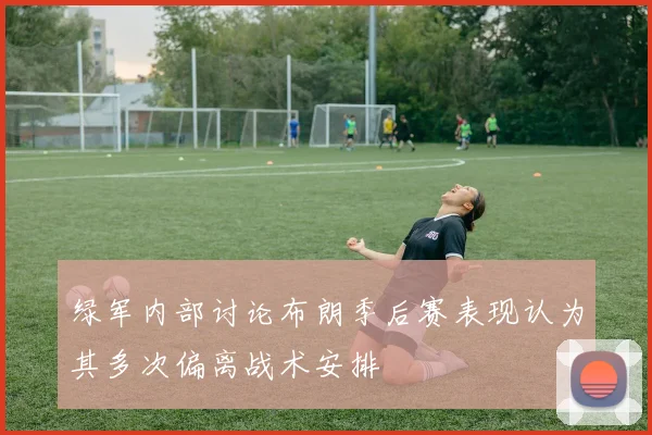 绿军内部讨论布朗季后赛表现认为其多次偏离战术安排