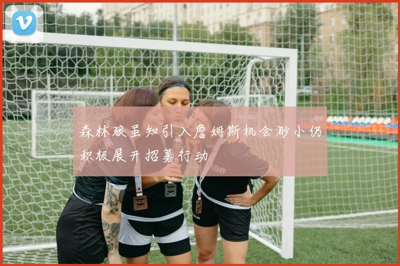 森林狼虽知引入詹姆斯机会渺小仍积极展开招募行动
