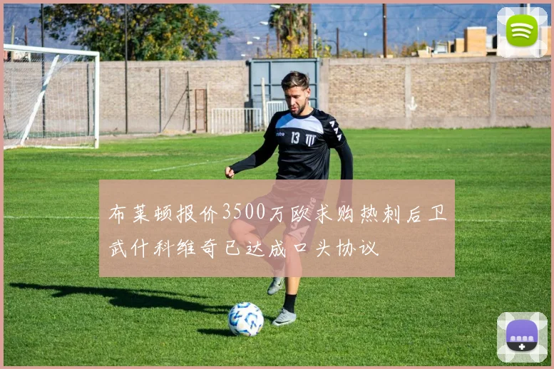 布莱顿报价3500万欧求购热刺后卫武什科维奇已达成口头协议